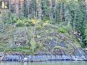 9 Aline Hills Beach, Sicamous, BC 