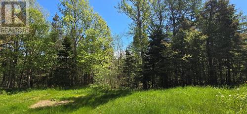 136 Winterland Road, Burin Bay Arm, NL - Outdoor With View