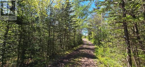 136 Winterland Road, Burin Bay Arm, NL - Outdoor With View