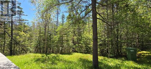 136 Winterland Road, Burin Bay Arm, NL - Outdoor With View