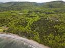 42979 Cabot Trail, Birch Plain, NS 