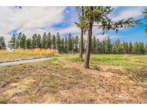 147 The Whins, Cranbrook, BC - Outdoor With View