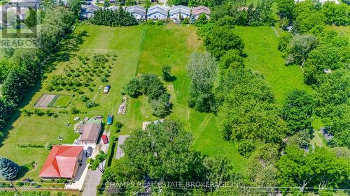 31 Clarke Road, London, ON - Outdoor With View