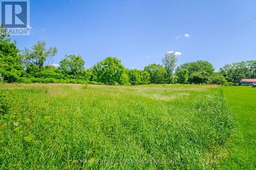 31 Clarke Road, London, ON - Outdoor