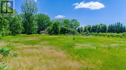 31 Clarke Road, London, ON - Outdoor With View