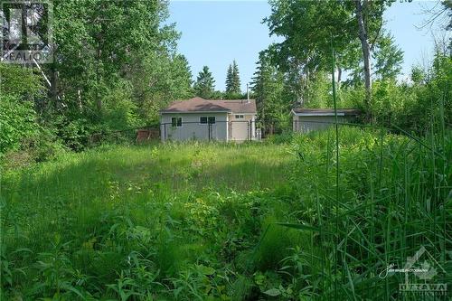 Back yard - 39 Broadview Street, Collingwood, ON - Outdoor