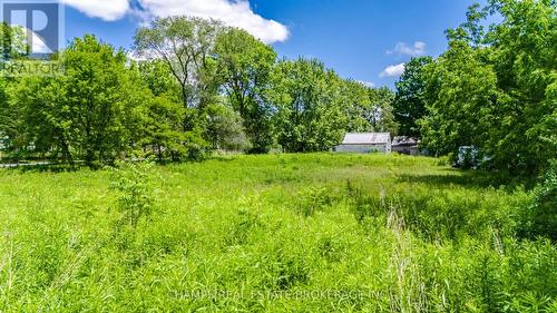 35 Clarke Road, London, ON - Outdoor