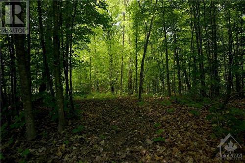 Trails and a stream at the back of the property. - 328 Humphries Road, Renfrew, ON - Outdoor