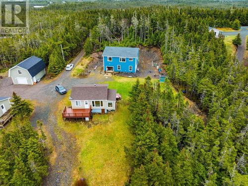 58 Pioneer Line, Salmonier Line, NL - Outdoor With View