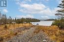 58 Pioneer Line, Salmonier Line, NL  - Outdoor With Body Of Water With View 