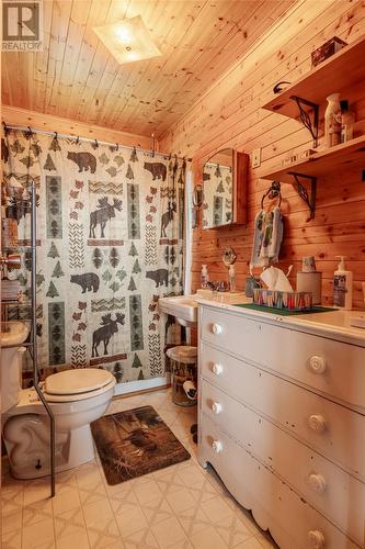 58 Pioneer Line, Salmonier Line, NL - Indoor Photo Showing Bathroom