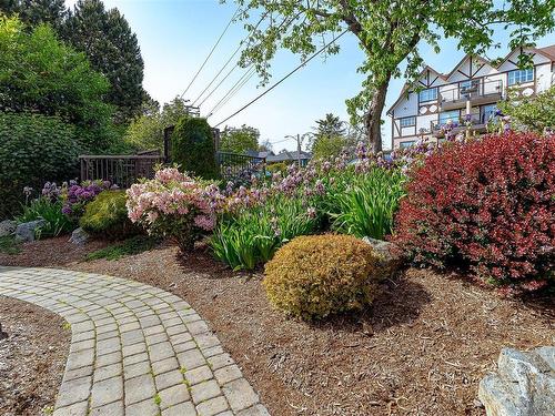 302-1241 Fairfield Rd, Victoria, BC - Outdoor