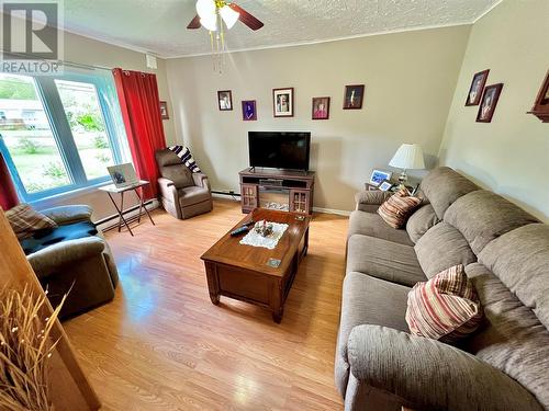 170 Goose Bay Drive, Musgravetown, NL - Indoor Photo Showing Living Room