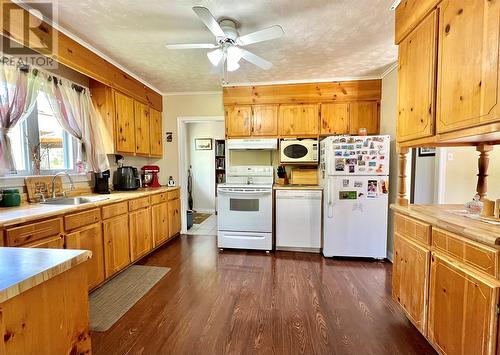 170 Goose Bay Drive, Musgravetown, NL - Indoor Photo Showing Kitchen