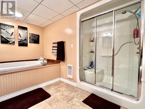 93 Goose Bay Drive, Musgravetown, NL - Indoor Photo Showing Bathroom