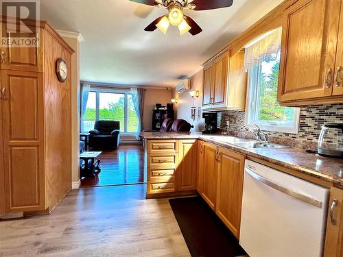 93 Goose Bay Drive, Musgravetown, NL - Indoor Photo Showing Kitchen With Double Sink