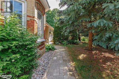 243 Birch Street, Collingwood, ON - Outdoor