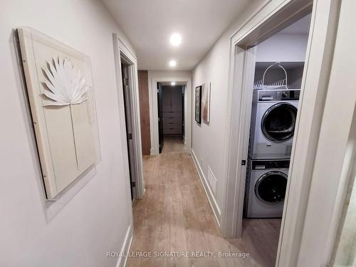 Bsmt-20 Lukow Terr, Toronto, ON - Indoor Photo Showing Laundry Room
