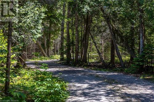 93 Borden Drive, Tobermory, ON - Outdoor With View