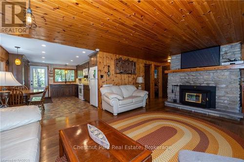 93 Borden Drive, Northern Bruce Peninsula, ON - Indoor Photo Showing Living Room With Fireplace