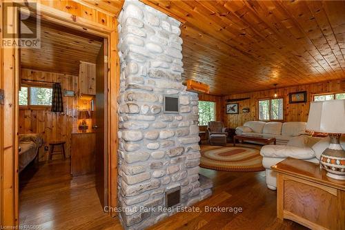 93 Borden Drive, Northern Bruce Peninsula, ON - Indoor With Fireplace