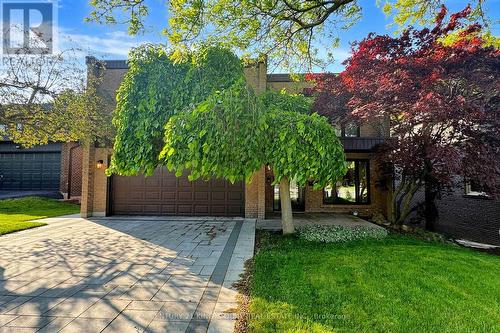 22 Coreydale Court, Toronto (Bathurst Manor), ON - Outdoor