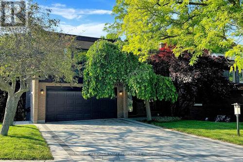 22 Coreydale Court, Toronto (Bathurst Manor), ON - Outdoor