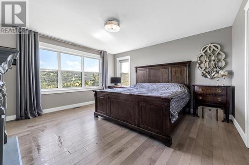 14 Blue Sky Drive, St. Philips, NL - Indoor Photo Showing Bedroom