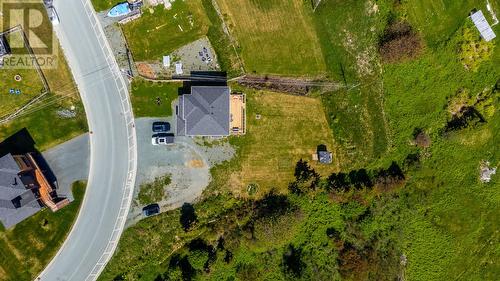 14 Blue Sky Drive, St. Philips, NL - Outdoor With View