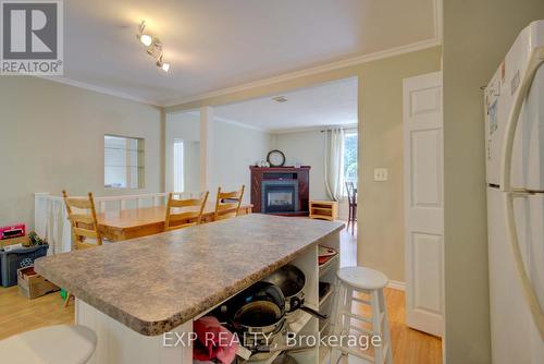 549 Alfred Street, Kingston, ON - Indoor With Fireplace