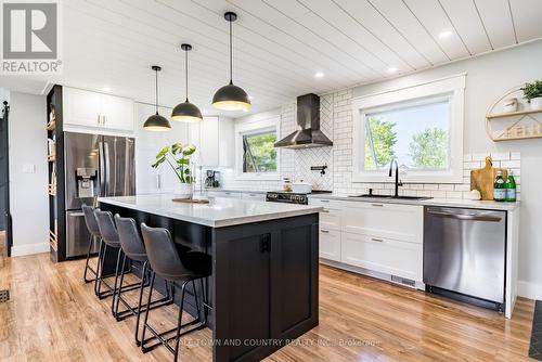 298 Glenarm Road, Kawartha Lakes, ON - Indoor Photo Showing Kitchen With Upgraded Kitchen
