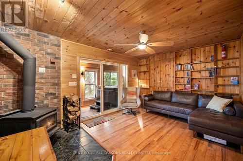 1171 Straggle Lake Drive, Dysart Et Al, ON - Indoor Photo Showing Living Room With Fireplace