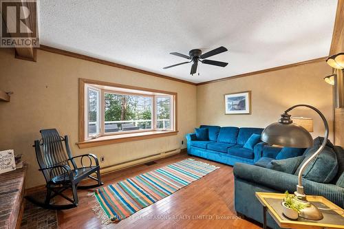 1171 Straggle Lake Drive, Dysart Et Al, ON - Indoor Photo Showing Living Room