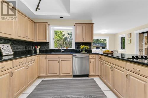 596 Lisa Crescent, Windsor, ON - Indoor Photo Showing Kitchen