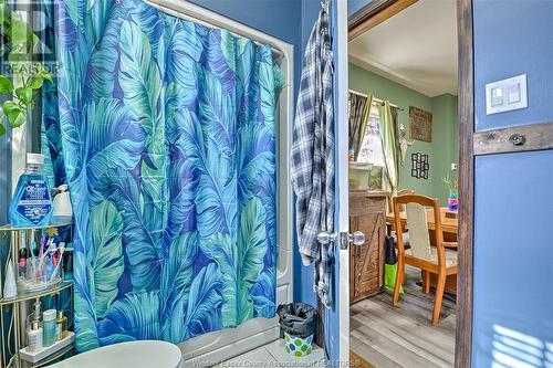 1070 Hickory Road, Windsor, ON - Indoor Photo Showing Bathroom