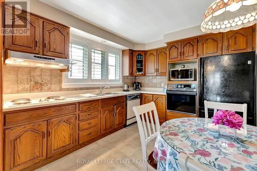 41 Crawford Drive, Hamilton, ON - Indoor Photo Showing Kitchen With Double Sink