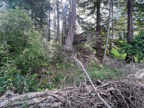 Lot 11 Gillies Bay Rd, Powell River, BC 