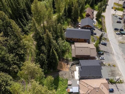 1367 Burfield Drive, Sun Peaks, BC - Outdoor With View