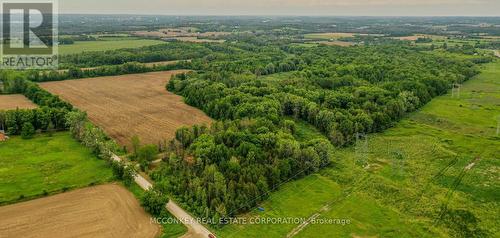 3632 Wallace Point Road, Otonabee-South Monaghan, ON 