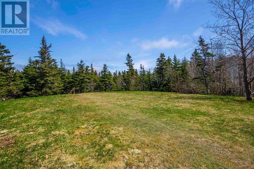 1436 Portugal Cove Road, Portugal Cove, NL - Outdoor With View