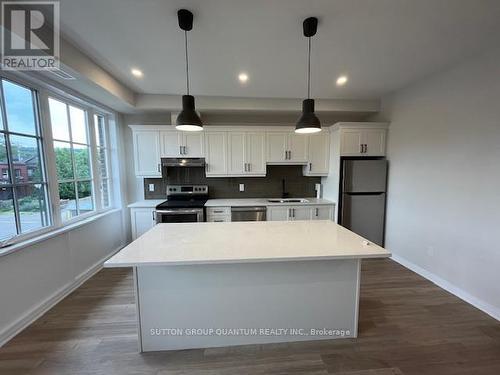 303 - 12 Blanshard Street, Hamilton (Kirkendall), ON - Indoor Photo Showing Kitchen With Double Sink With Upgraded Kitchen