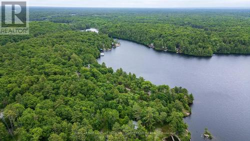 320 O'Hara Point Road, Georgian Bay, ON 