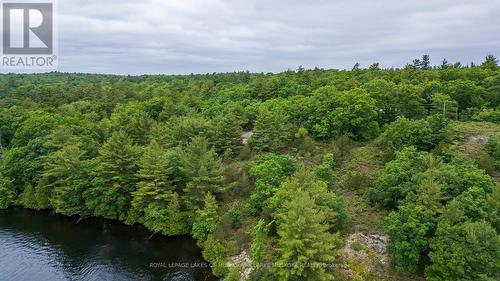 320 O'Hara Point Road, Georgian Bay, ON 