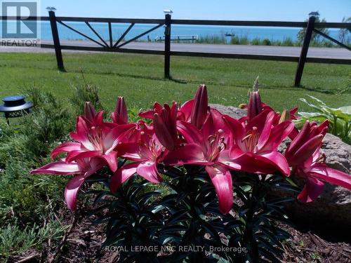 817 Lakeshore Road, Haldimand, ON - Outdoor With Body Of Water With View