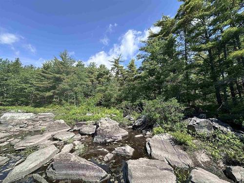 Lot 1 Mint Brook Road, Molega North, NS 