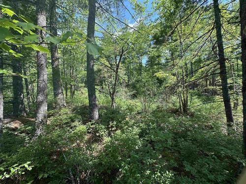 Lot 1 Mint Brook Road, Molega North, NS 