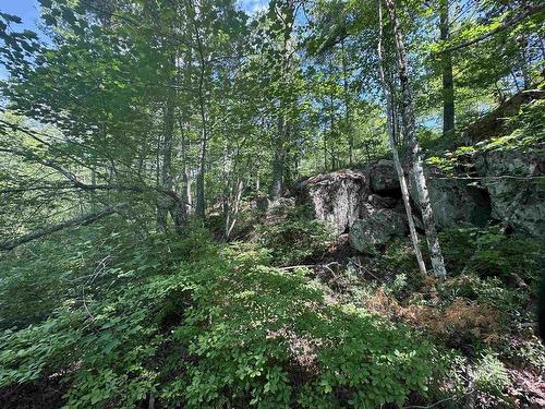 Lot 1 Mint Brook Road, Molega North, NS 