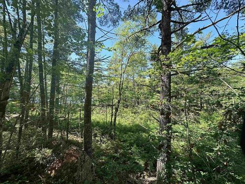 Lot 1 Mint Brook Road, Molega North, NS 