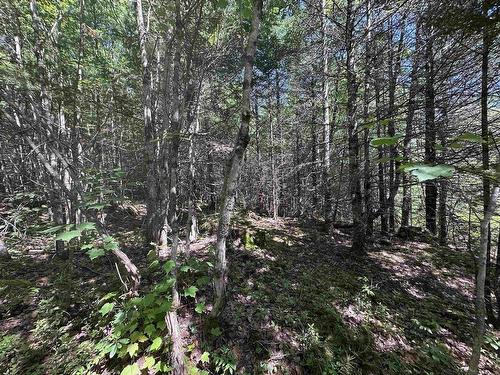 Lot 1 Mint Brook Road, Molega North, NS 