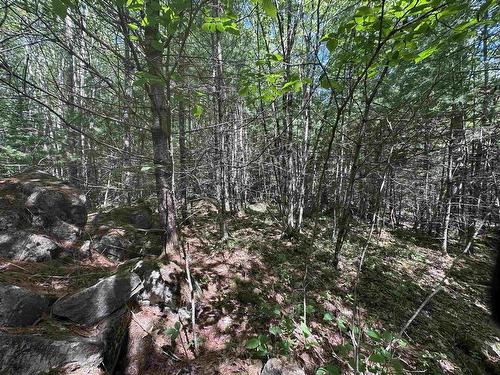 Lot 1 Mint Brook Road, Molega North, NS 